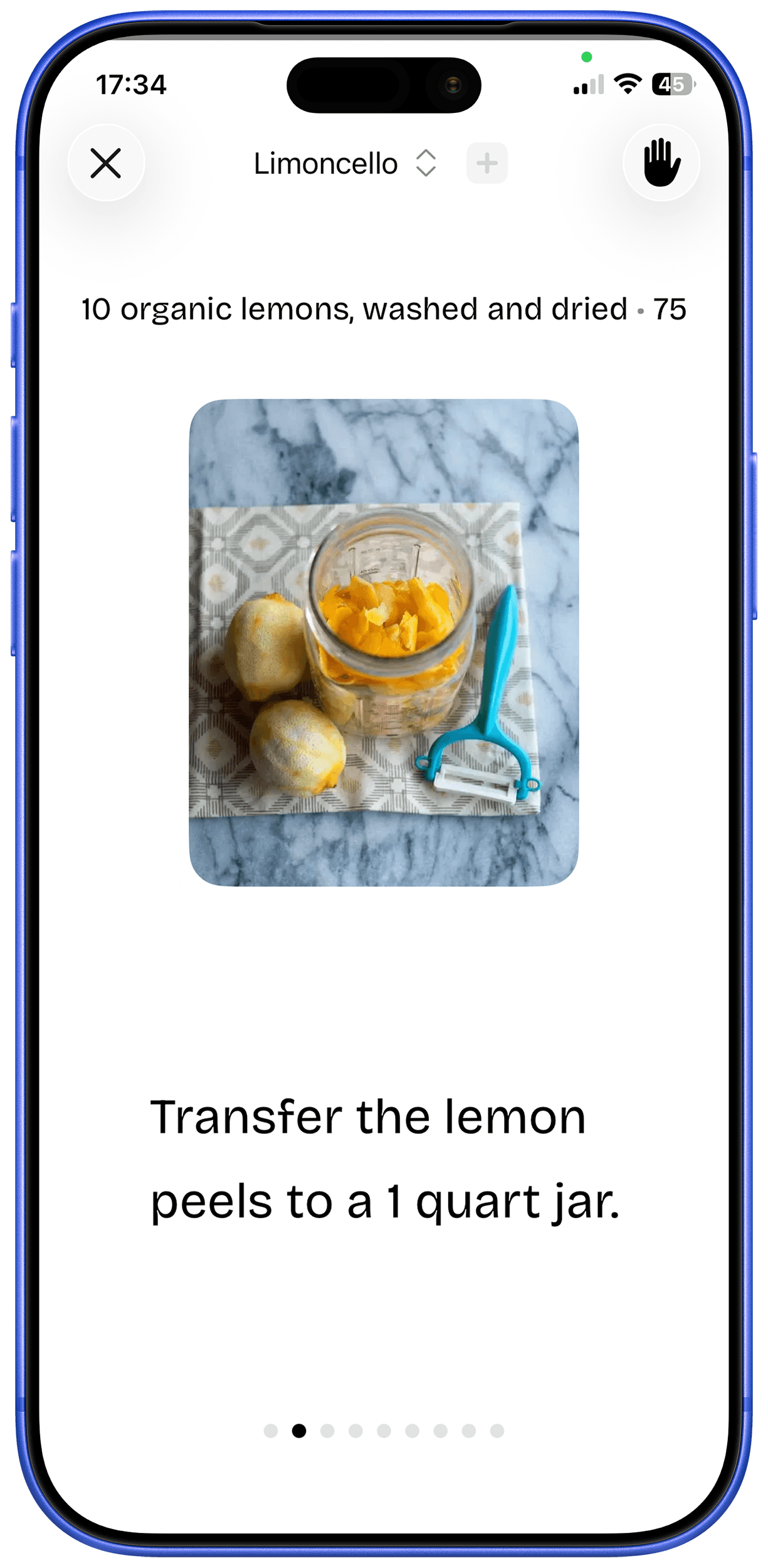 Voice assistant and gesture control interface