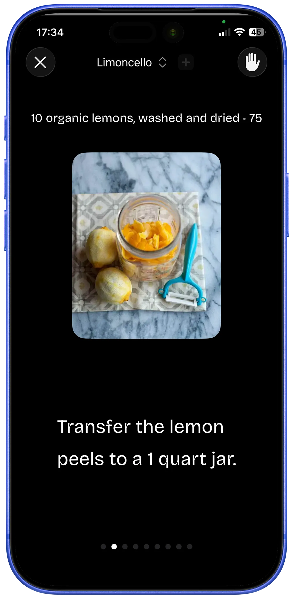Voice assistant and gesture control interface