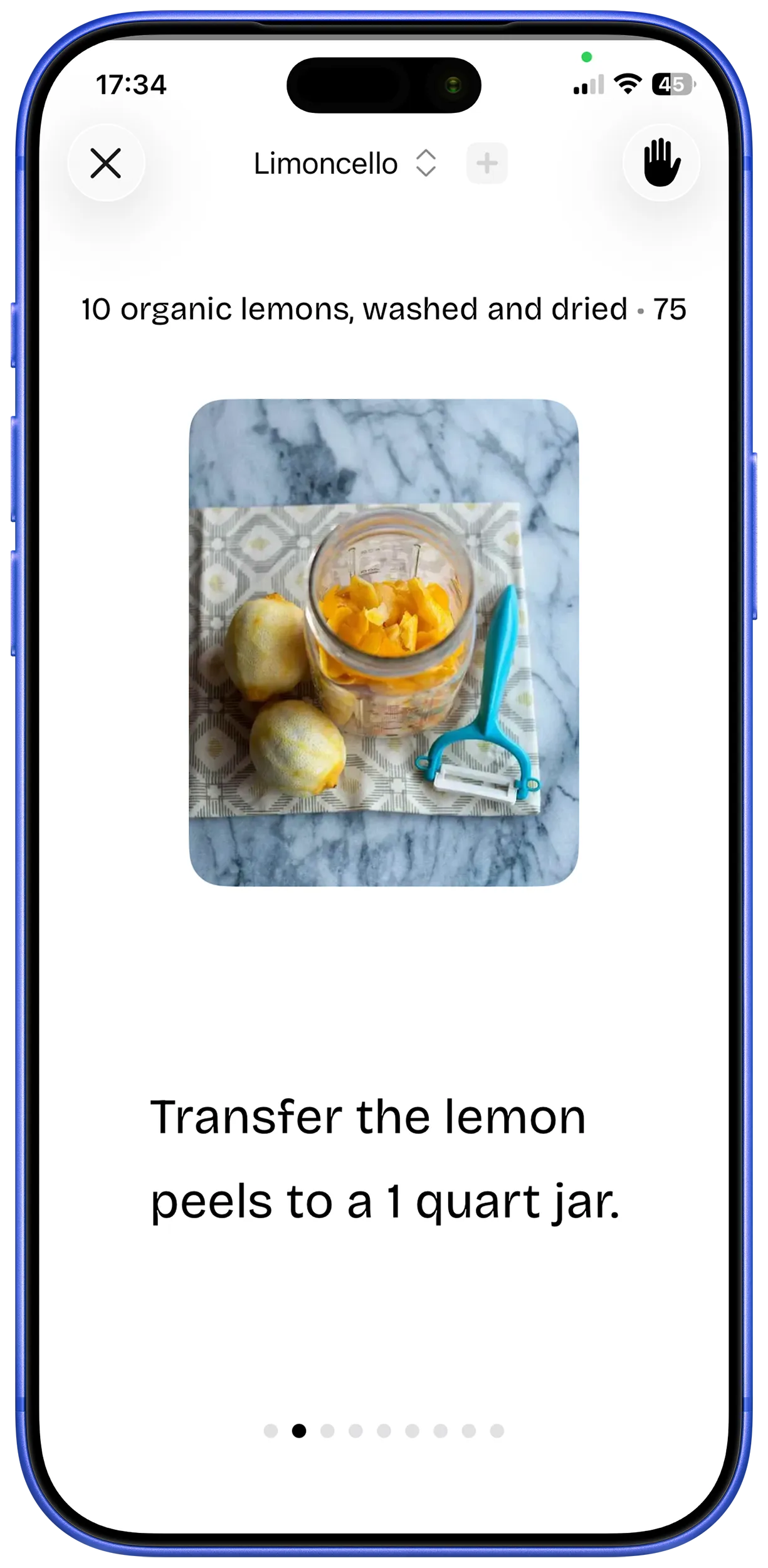 Voice assistant and gesture control interface